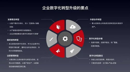 拥抱数字化转型 数企为中小企业量身打造SaaS解决方案